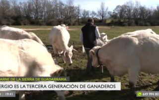 Carne de la Sierra de Guadarrama